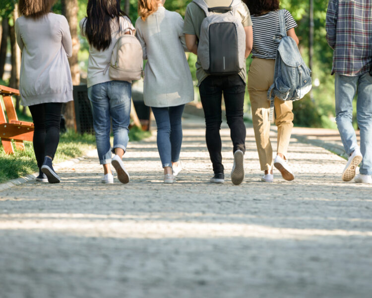 back-view-cropped-picture-multiethnic-group